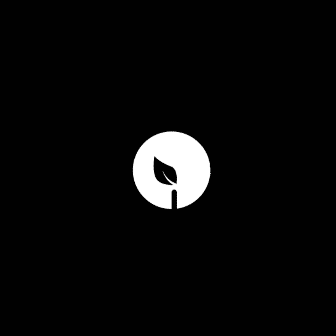 Foundational Strategy & Launch Support